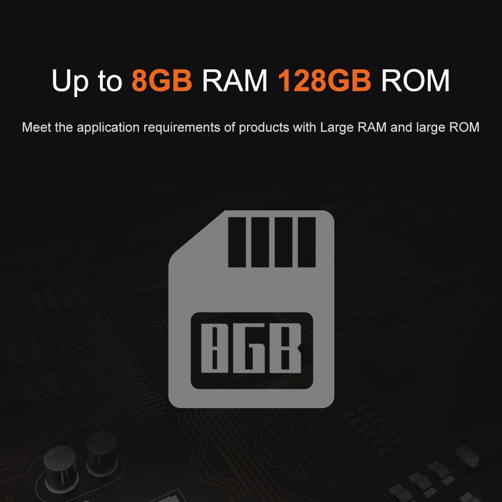 Liontron RK3566 DDR4 8GB RAM A - Open Vending Machine のレビューと価格